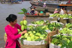 Cai Be Floating Market Mekong River Cruise