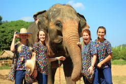 Elephant Santuary in Thailand