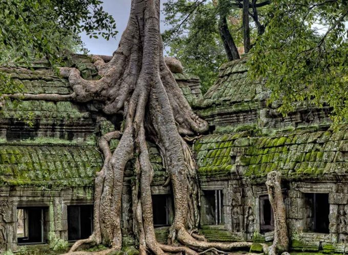 Grand Mekong River Cruise Tour from Angkor Wat