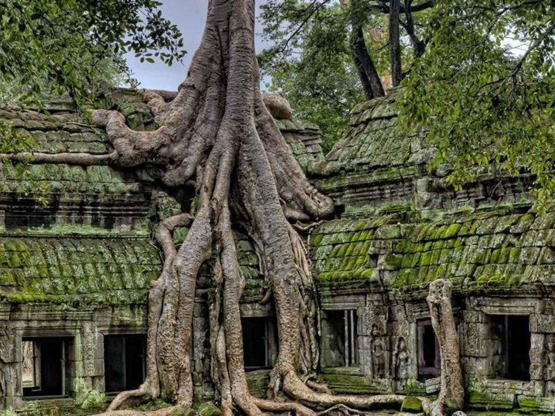 Grand Mekong River Cruise Tour from Angkor Wat