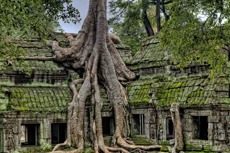 Grand Mekong River Cruise Tour from Angkor Wat
