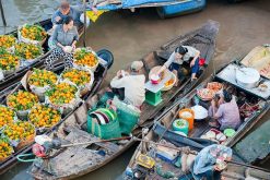 Mekong River Cruise-floating-Market