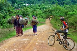 Mekong Sun River Cruise-Luang Nam Tha