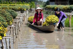 Sa Dec Village Mekong River Cruise