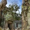 Ta Prohm temple of cambodia