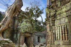 Ta Prohm temple of cambodia