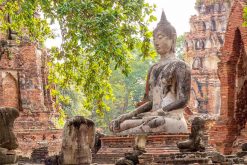 Wat Mahathat Thailand Mekong River Cruise