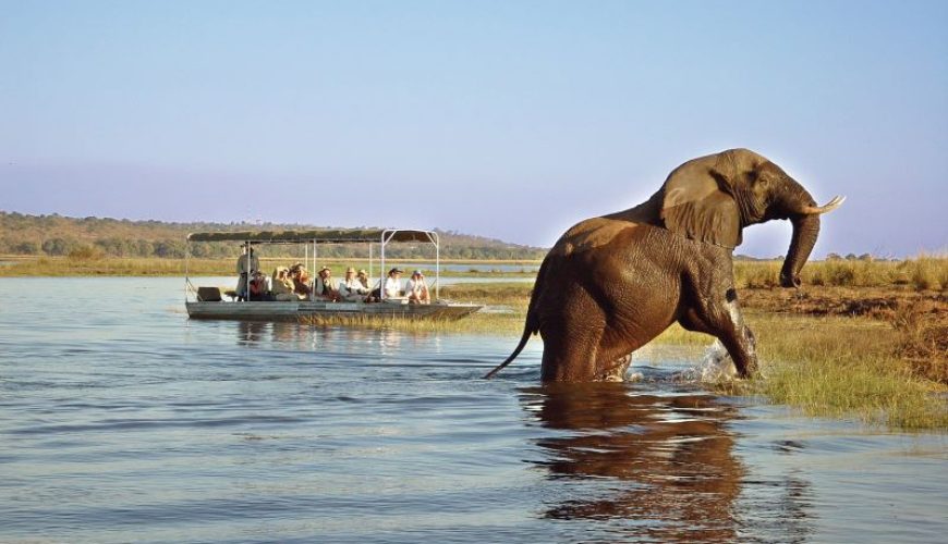 best things to do on South Africa River cruises