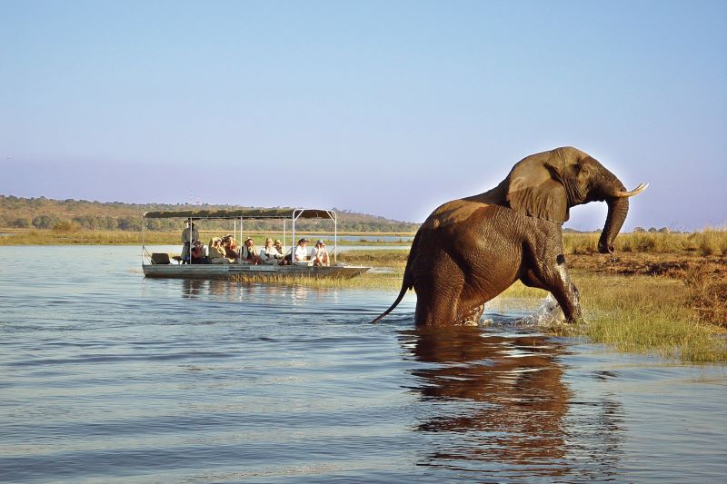 best things to do on South Africa River cruises