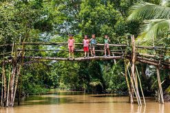 monkey bridge in Vietnam Mekong River Cruise Tours