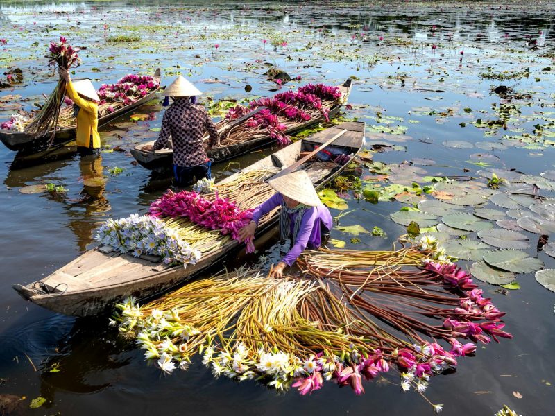 Vietnam Cambodia River Cruise: From The Temples of Angkor to the Mekong Delta & Hanoi and Halong Bay