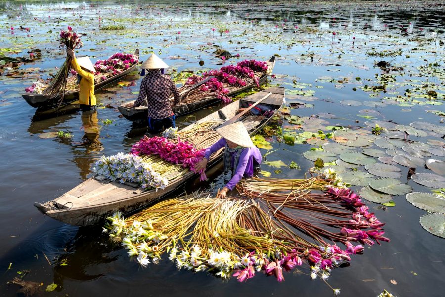 Vietnam Cambodia River Cruise: From The Temples of Angkor to the Mekong Delta & Hanoi and Halong Bay