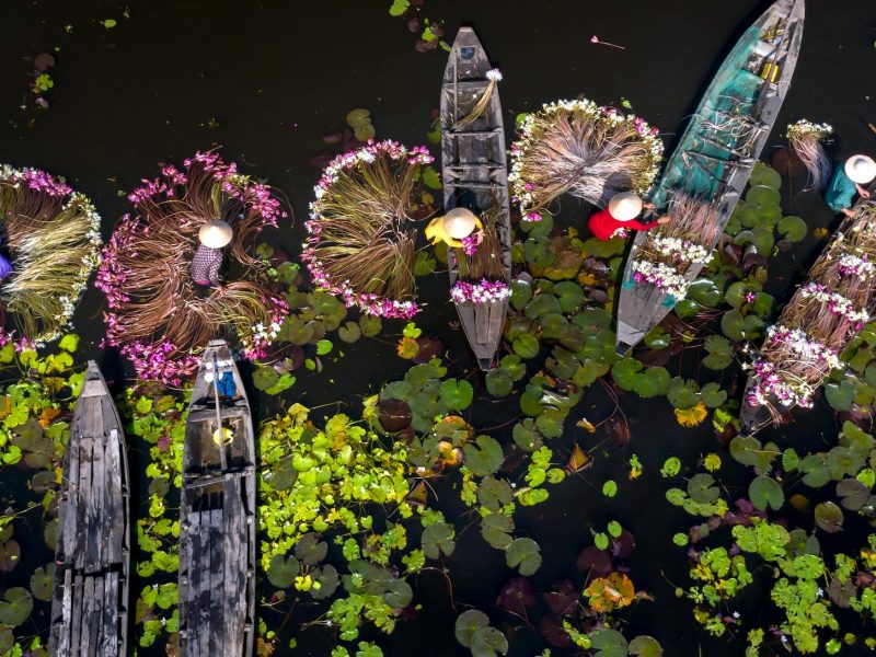 Mekong Delta At A Glance