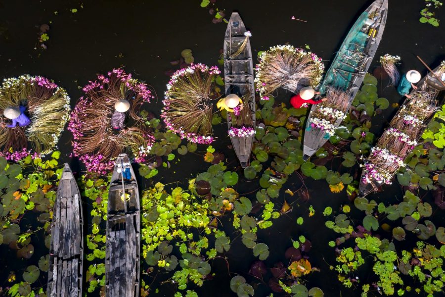 Mekong Delta At A Glance